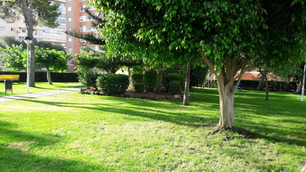 Apartamento Edificio Provima B 5 Benidorm Exterior foto